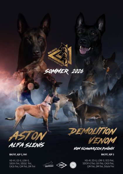 Wurfankündigung_Venom